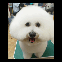 �g���~���O�摜�r�W�����E�t���[�[1