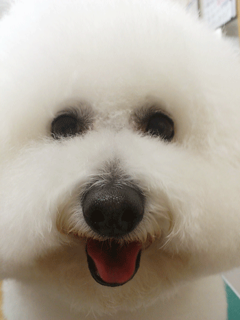 �r�W�����E�t���[�[�g���~���O�摜3