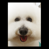 �g���~���O�摜�r�W�����E�t���[�[3