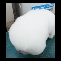 �g���~���O�摜�r�W�����E�t���[�[5