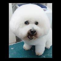 �g���~���O�摜�r�W�����E�t���[�[6