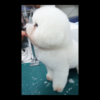 �g���~���O�摜�r�W�����E�t���[�[8