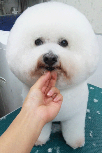 �r�W�����E�t���[�[�g���~���O�摜9