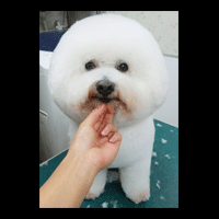 �g���~���O�摜�r�W�����E�t���[�[9