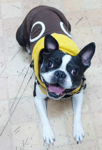 �{�X�g���e���A�g���~���O�摜3