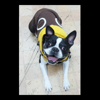 �g���~���O�摜�{�X�g���e���A3