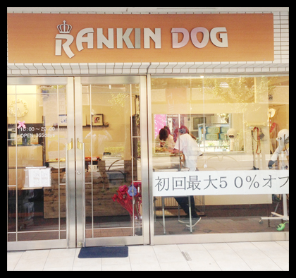 �����L���h�b�O/Rankindog�����O�ω摜