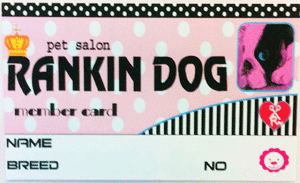 �g���~���O�T���������L���h�b�Omembercard