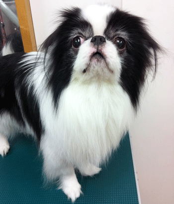 �(����)�g���~���O�摜2