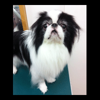 �g���~���O�摜༁i����j2