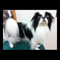 �g���~���O�摜༁i����j3