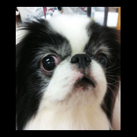 �g���~���O�摜༁i����j4