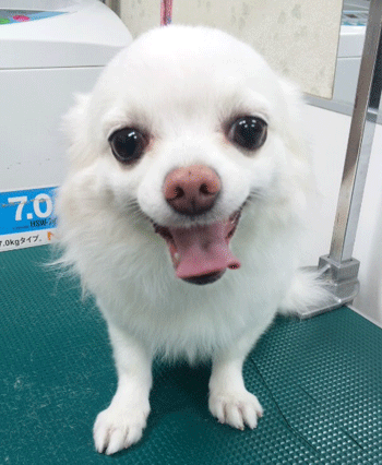 �`�����g���~���O�摜10