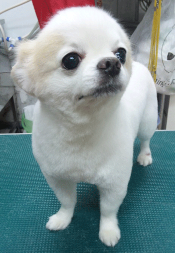 �`�����g���~���O�摜11