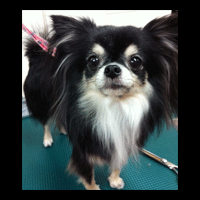 �g���~���O�摜�`����12