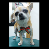 �g���~���O�摜�`����16