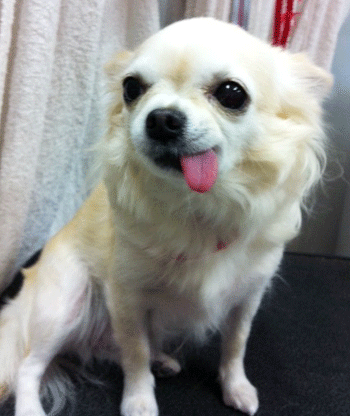 �`�����g���~���O�摜18