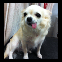 �g���~���O�摜�`����18