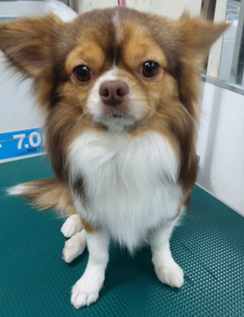 �`�����g���~���O�摜20