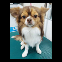 �g���~���O�摜�`����20