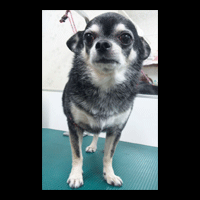 �g���~���O�摜�`����21