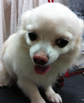 �`�����g���~���O�摜22