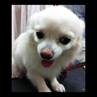 �g���~���O�摜�`����22