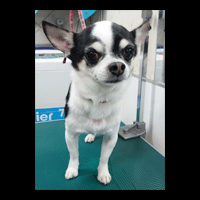 �g���~���O�摜�`����23