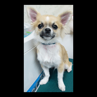 �g���~���O�摜�`����24