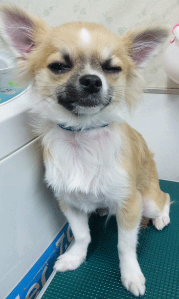 �`�����g���~���O�摜25