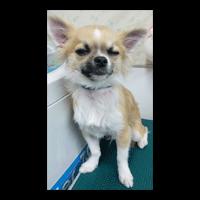 �g���~���O�摜�`����25