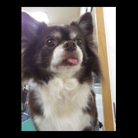 �g���~���O�摜�`����26