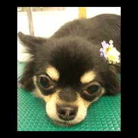 �g���~���O�摜�`����27