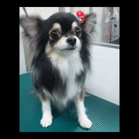 �g���~���O�摜�`����28