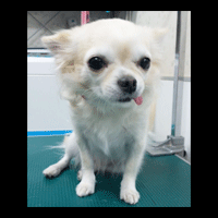 �g���~���O�摜�`����29