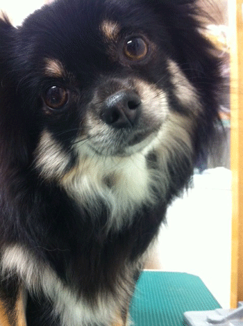 �`�����g���~���O�摜3