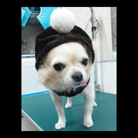 �g���~���O�摜�`����30