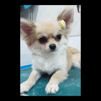 �g���~���O�摜�`����31