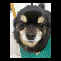 �g���~���O�摜�`����32