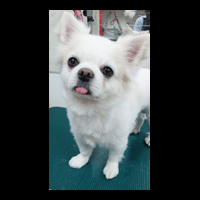 �g���~���O�摜�`����33