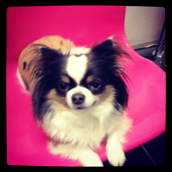 �`�����g���~���O�摜34