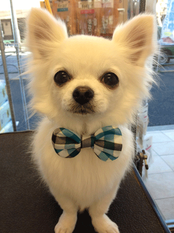 �`�����g���~���O�摜35