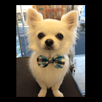 �g���~���O�摜�`����35