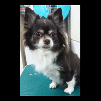 �g���~���O�摜�`����9