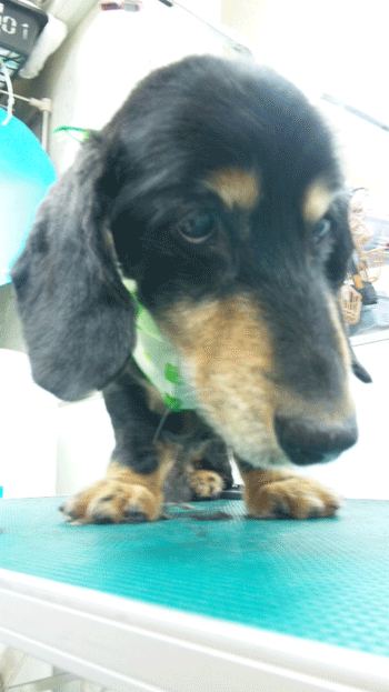 �~�j�`���A�_�b�N�X�t���h�g���~���O�摜10