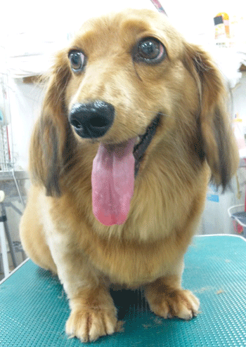 �~�j�`���A�_�b�N�X�t���h�g���~���O�摜17