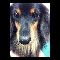 �g���~���O�摜�~�j�`���A�_�b�N�X�t���h18