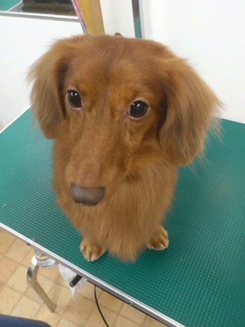 �~�j�`���A�_�b�N�X�t���h�g���~���O�摜21