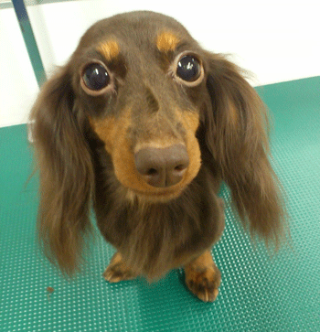 �~�j�`���A�_�b�N�X�t���h�g���~���O�摜23