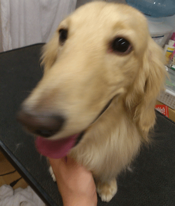 �~�j�`���A�_�b�N�X�t���h�g���~���O�摜25